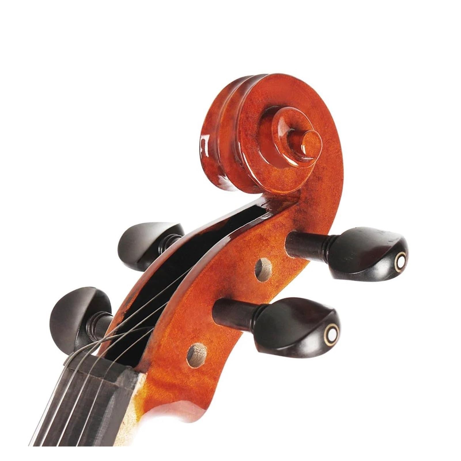 Violino adulto 4/4 pannello abete rosso colonna sonora originale con sintonizzatore e altri accessori (Set 2)