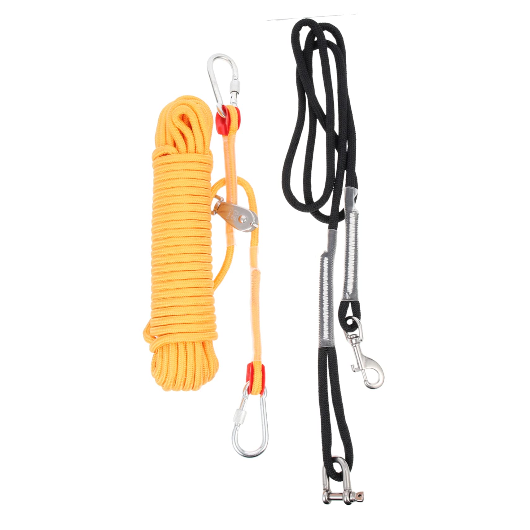 Câble attache pour chien de compagnie idéal pour le camping en pleine nature