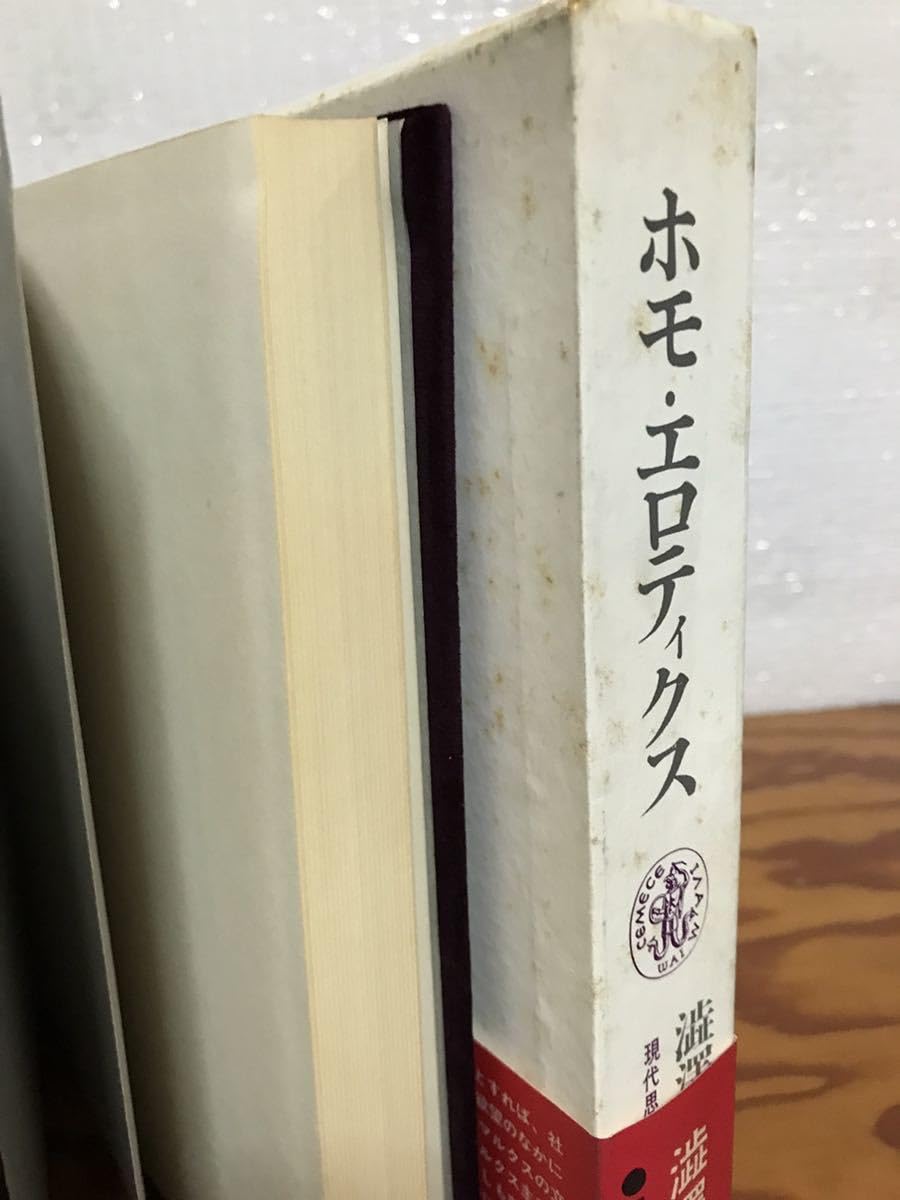 ホモ エロティクス 初版第一刷 澁澤龍彦 函つき ホモ エロティクス 初版第一刷 澁澤龍彦 函つき - メルカリ
