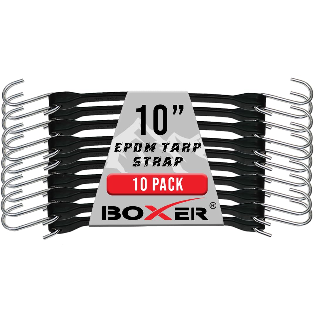 Boxer 10