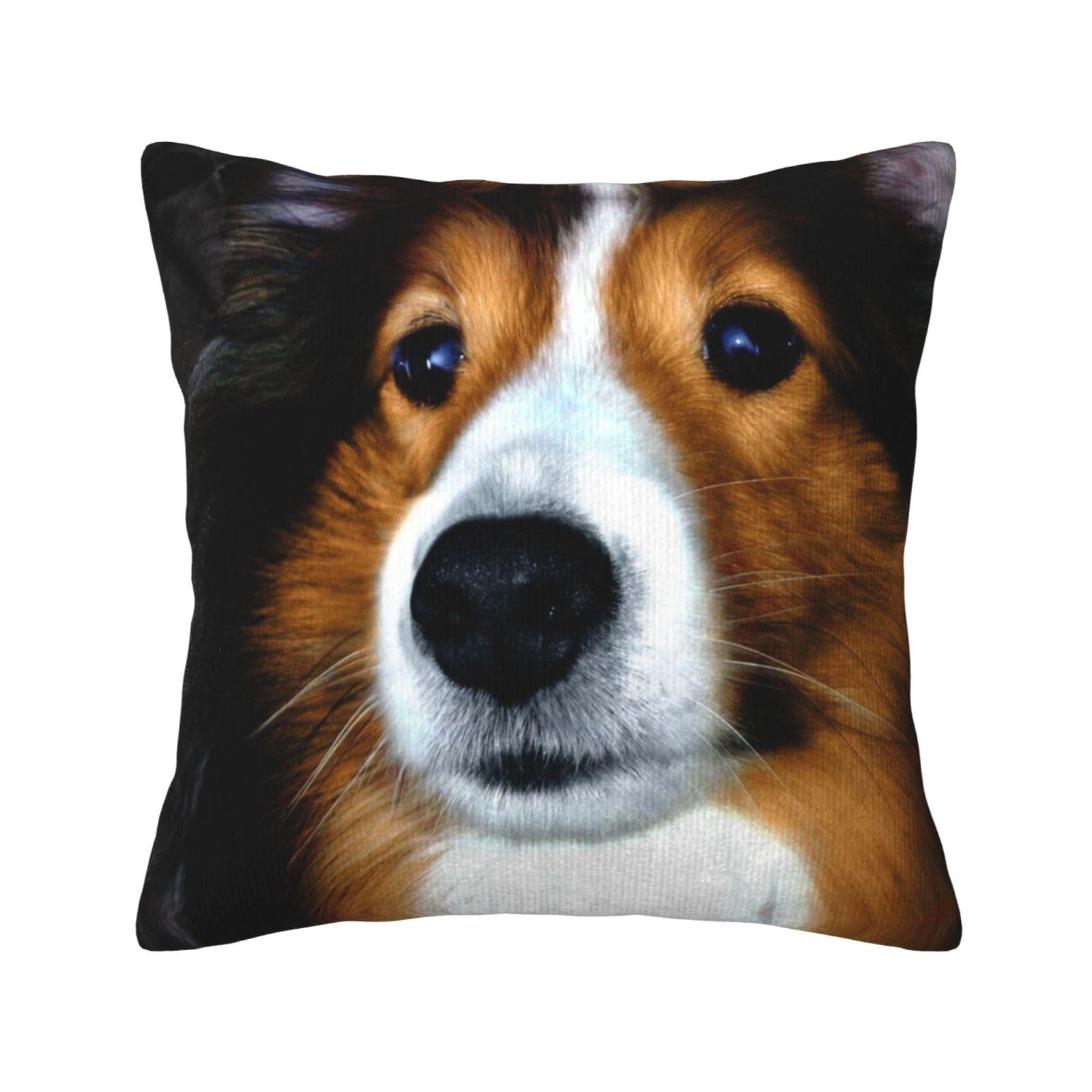 Housse de coussin en velours motif Shetland pour célébrer nos chiens