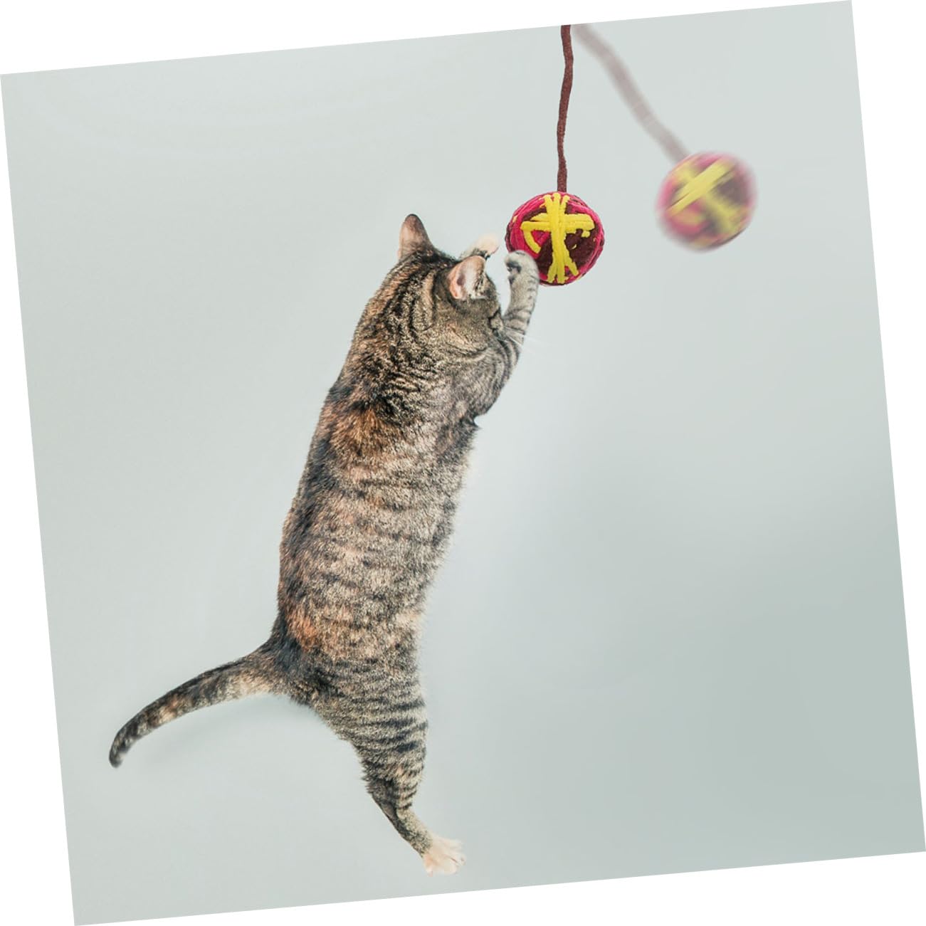 minkissy Lot de 25 balles en Laine pour Chat - Jouets pour Chats d'intérieur - Clochettes pour Chat d'intérieur - Jouets interactifs pour Chat - Jouet intéressant pour Chat - Fil à Longue Queue