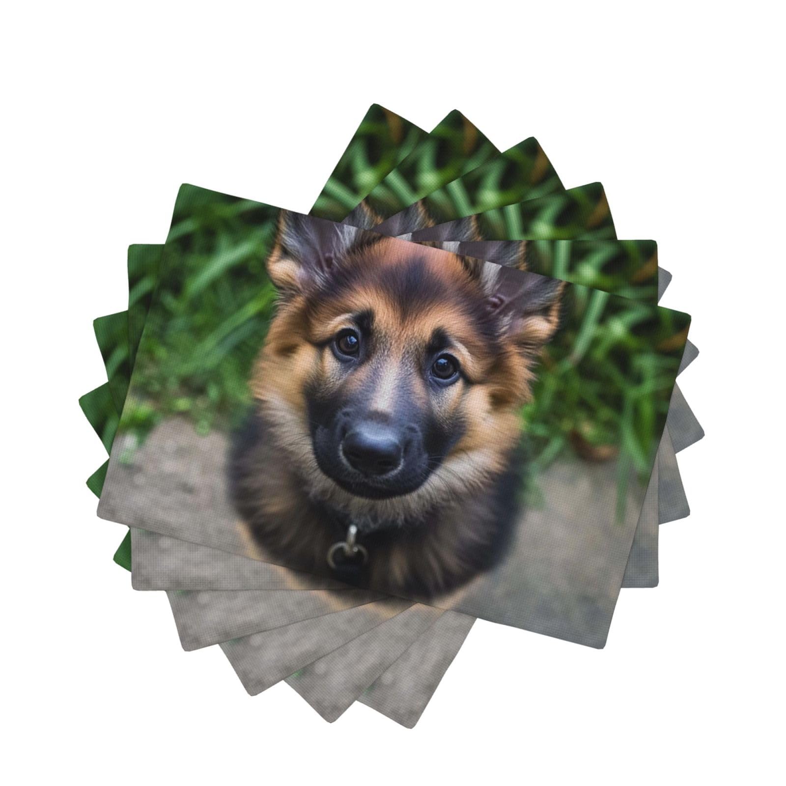 Placemats Set of One Size Washable Wipeable Table Mats Heat Resistant Weave Place Mats Cute german shepherd Placemats Wrinkle Free Place Mats for Dining Table Kitchen Decor