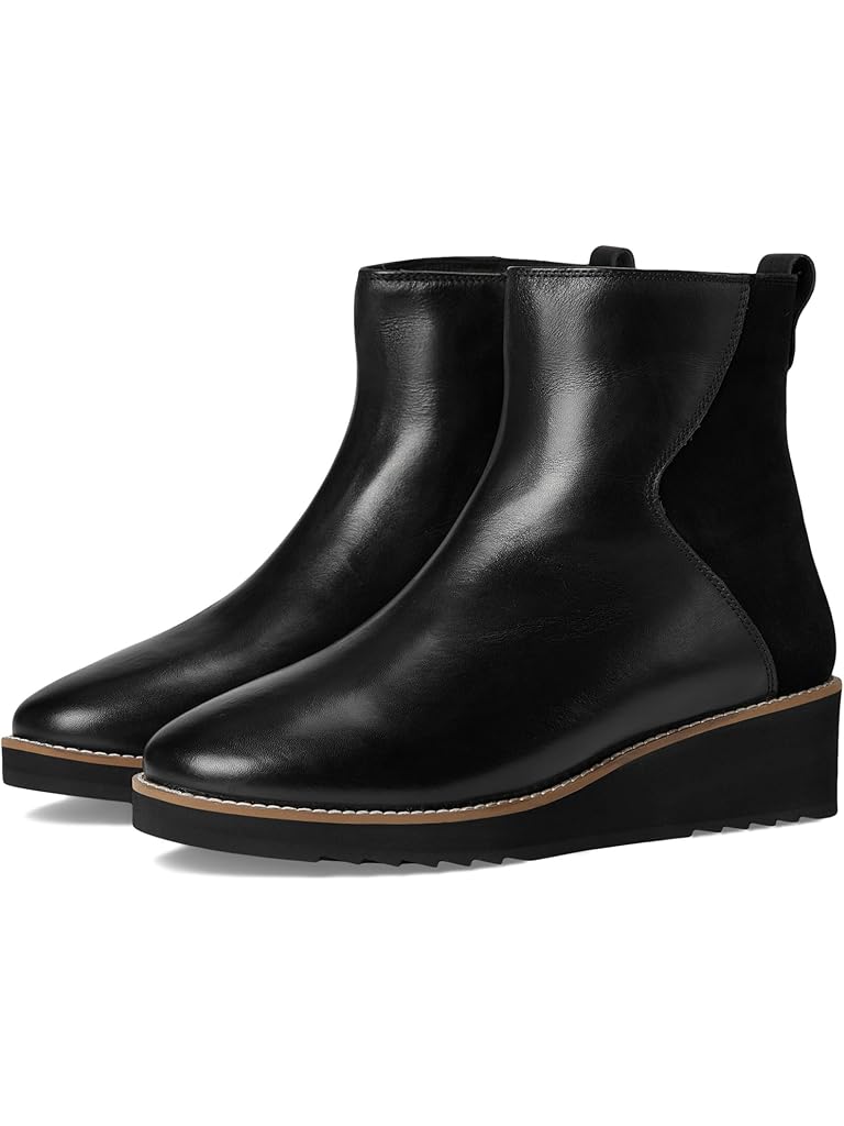 Black Trotters Wynona