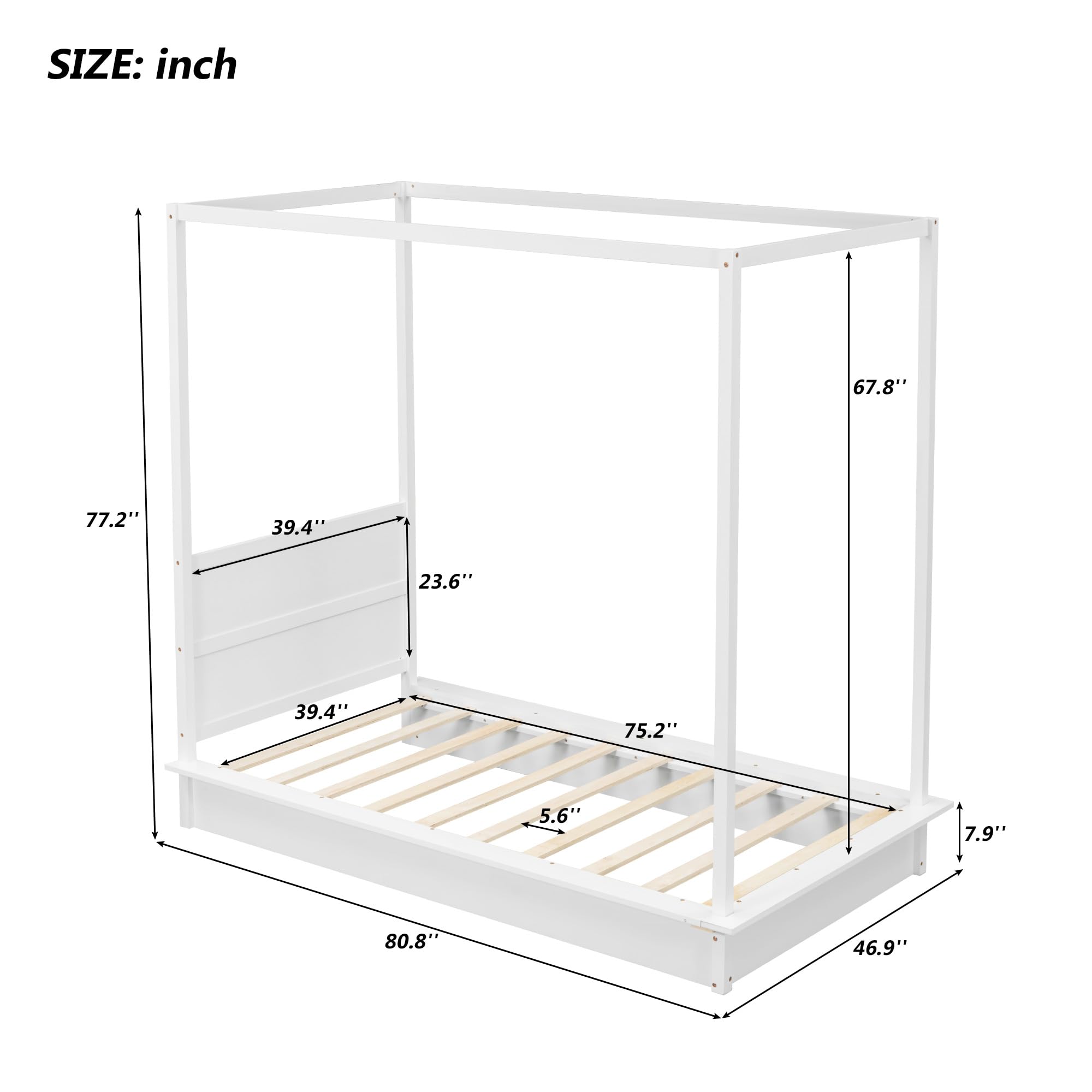 https://m.media-amazon.com/images/I/61aqVywHWrL.jpg