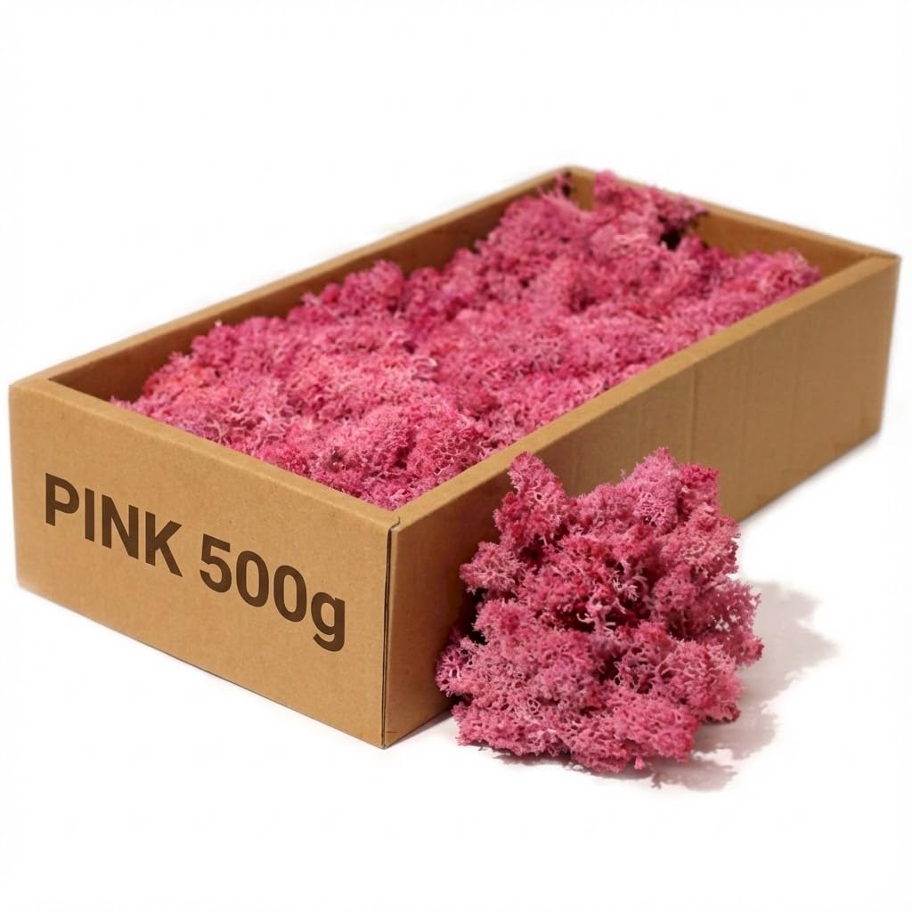 floral supplies Stabilised Reindeer Moss – Preserved Lichen for Model Scenery, Railway Landscapes, Terrariums, Floristry & Art Crafts – Soft Texture & Maintenance Free (Pink, 100g)