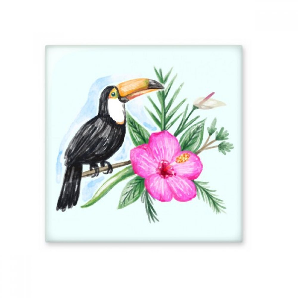 Carrelage toucan de salle de bain et cuisine : céramique murale