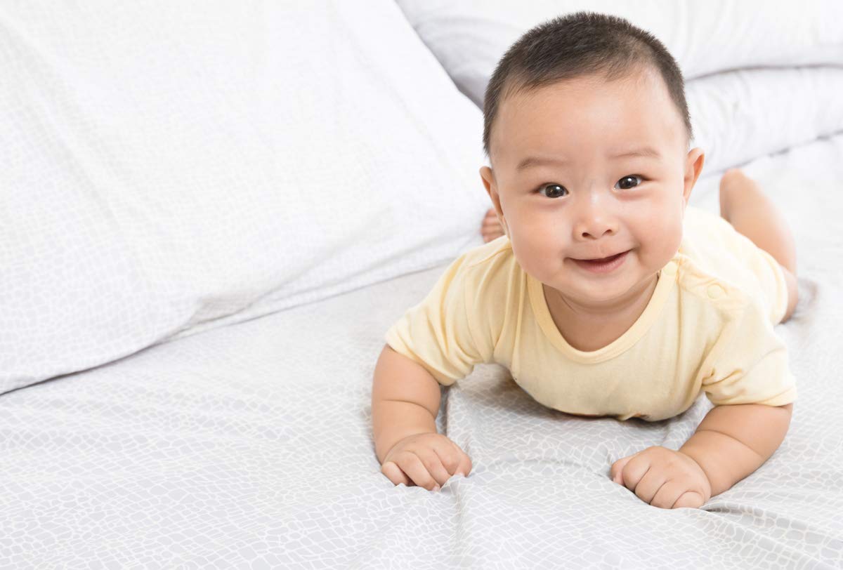 Amazon.com: bambini Infant Shorts - 2 Pack : Clothing, Shoes & Jewelry