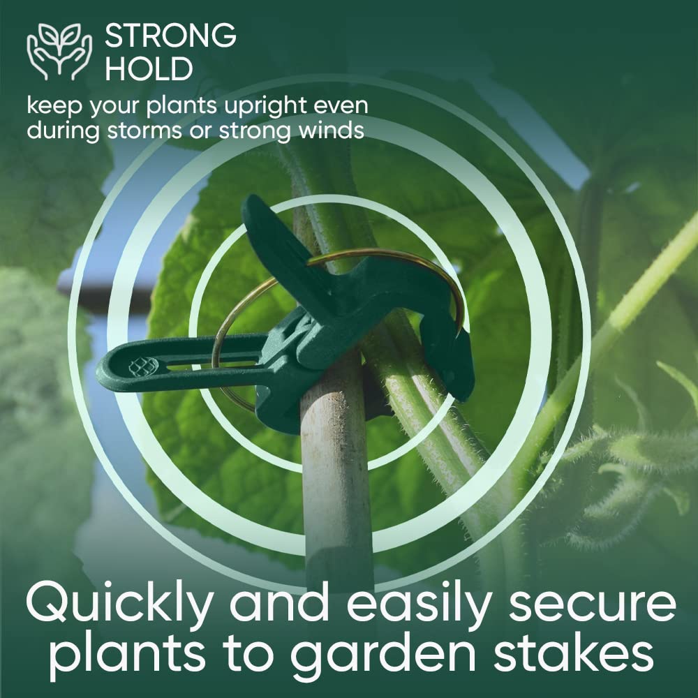 Grow1 Small Plant Clips (50 pack) - Image 4