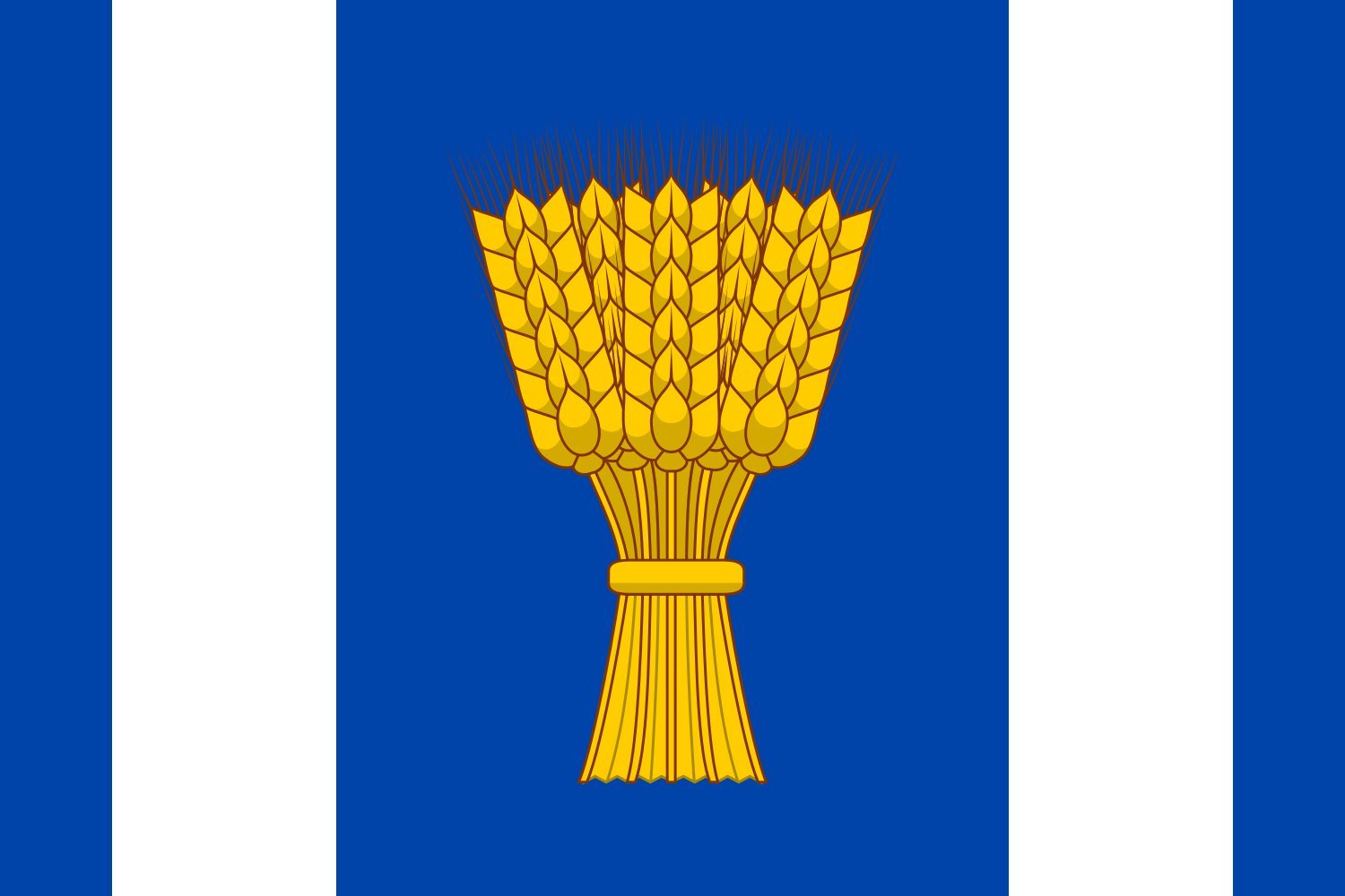 Drapeau Large Třesovice anti-déchirure pour pavillonner Hradec sans décoloration