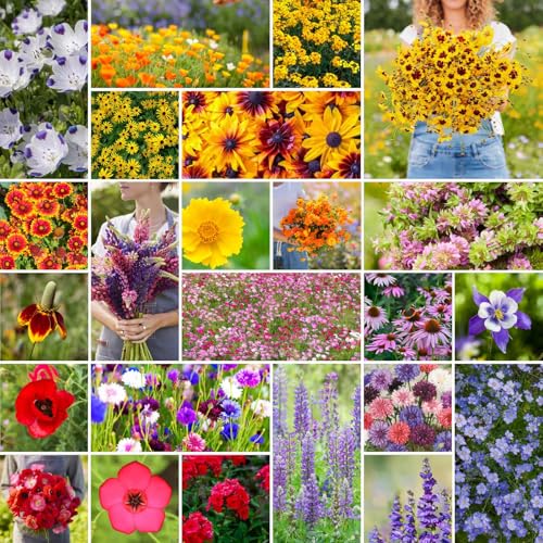 Eden Brothers Western Wildflower Mixed Seeds for Planting, 50 lb, 24,000,000+ Seeds with Cornflower, Blanket Flower | Attracts Pollinators, Plant in Spring or Fall, Zones 3, 4, 5, 6, 7, 8, 9, 10