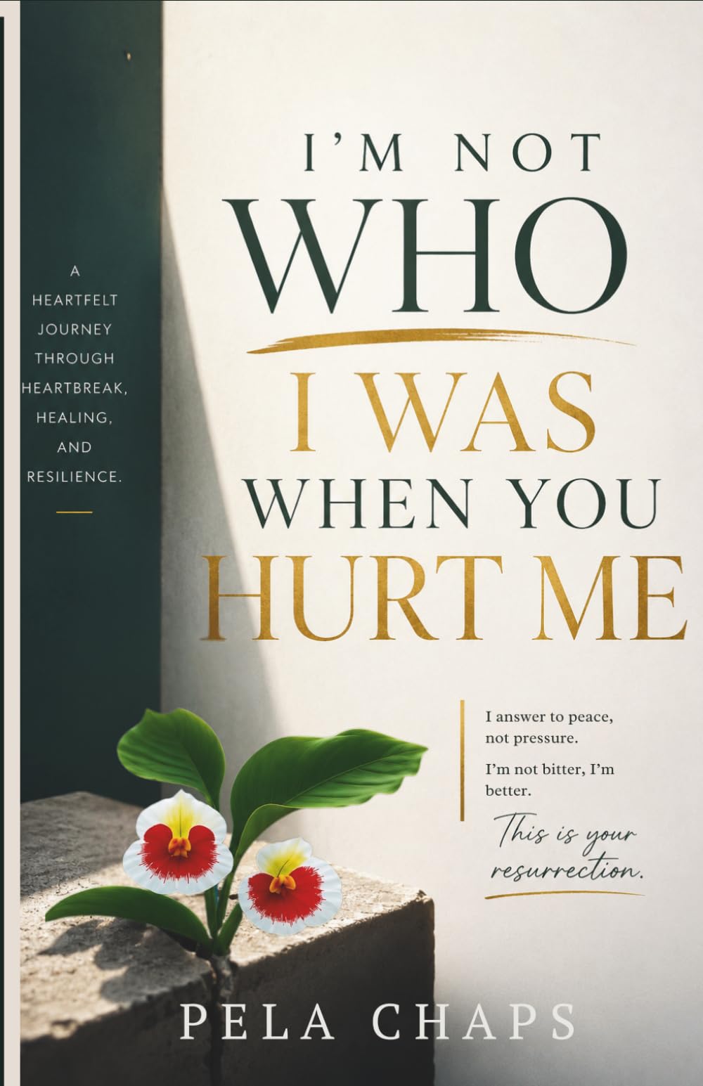 I’M NOT WHO I WAS WHEN YOU HURT ME