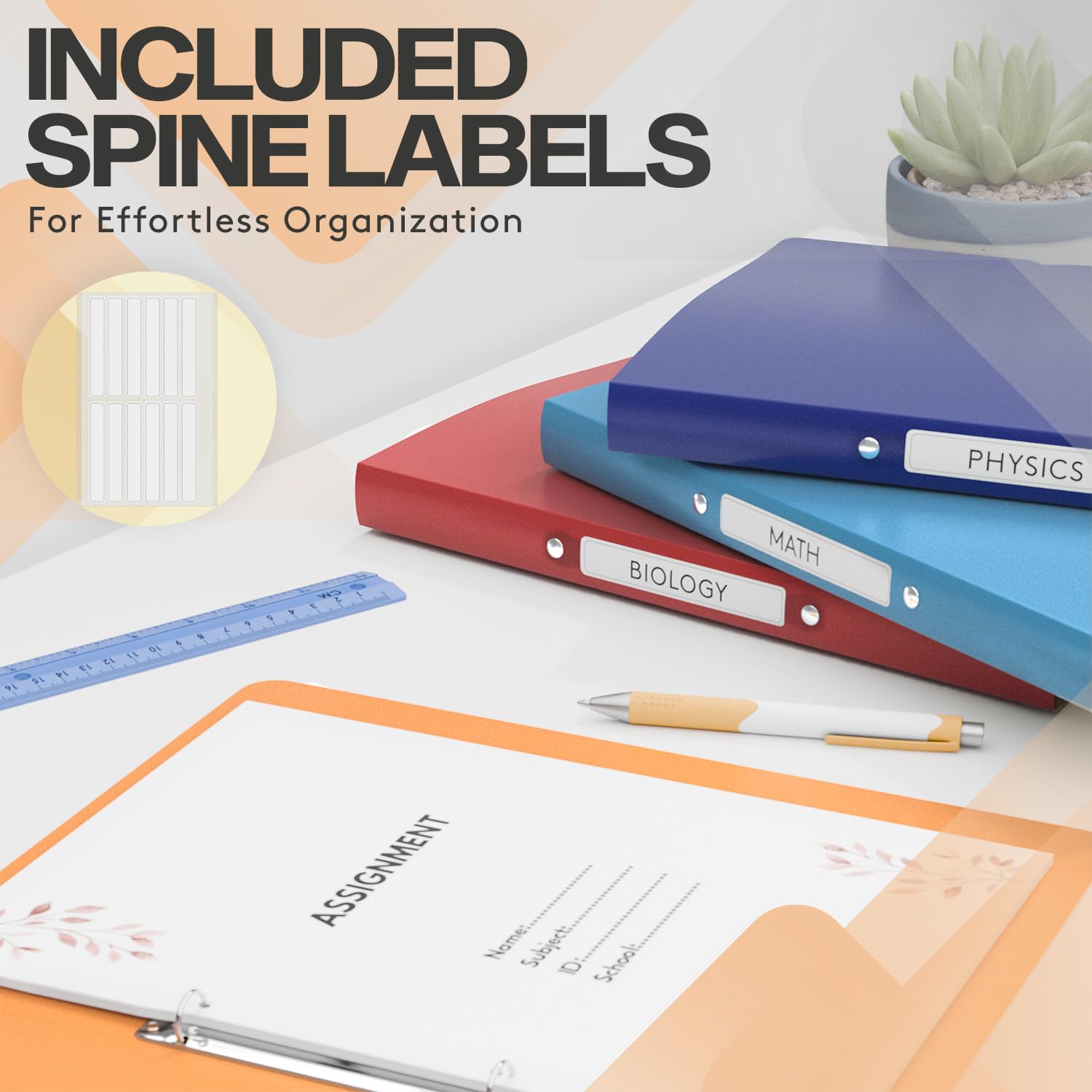 ACROPAQ, 12 x Ring Binder A4, Flexible A4 Folder Files for 100 Pages, Binders with 2 Rings, Spine Width 2.5 cm - Image 4