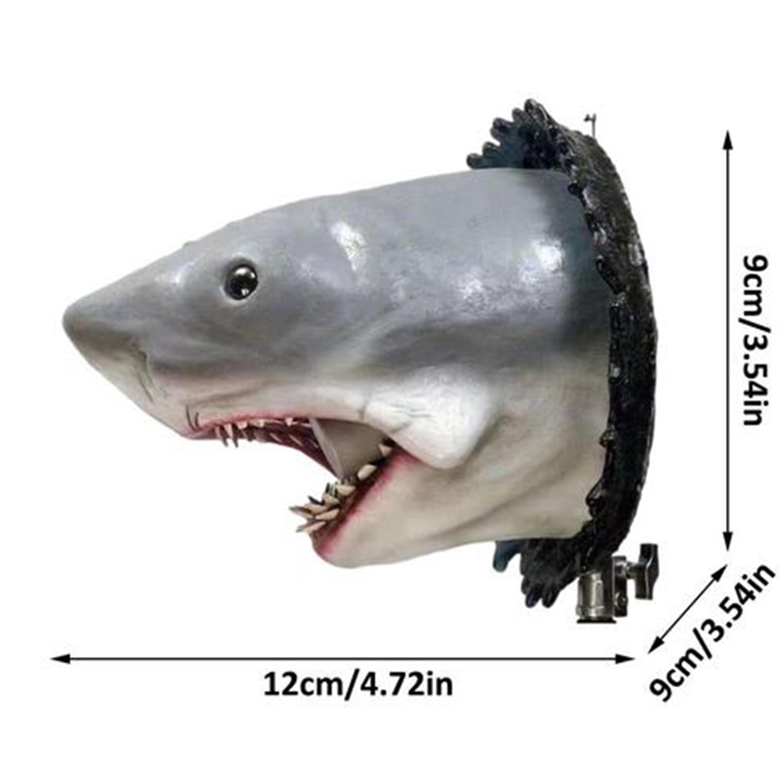Amazon.co.jp: シャークヘッド アート スカルプチャー 室内用 海洋動物