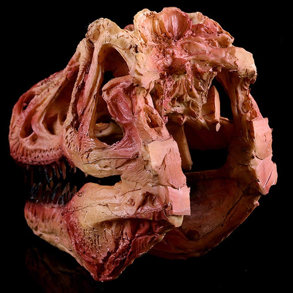 Cráneo De Tiranosaurio Réplica De Cráneo De Dinosaurio Artesanías De Resina Cráneo De Animal Modelo De Esqueleto De Enseñanza Fósil Artesanía De Cráneo De Resina Estatua De Esqueleto De Dinosaurio Pa