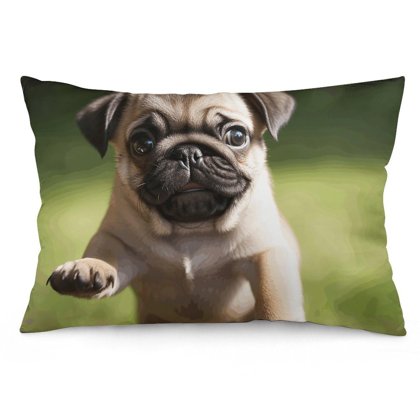 2 Pack Pillow Cases for Hair and Skin, Soft Breathable Pillow Case Covers with Hidden Zipper, Pug Puppies Pillowcase 16 "x24 Pillow Covers for Sleeping Gift