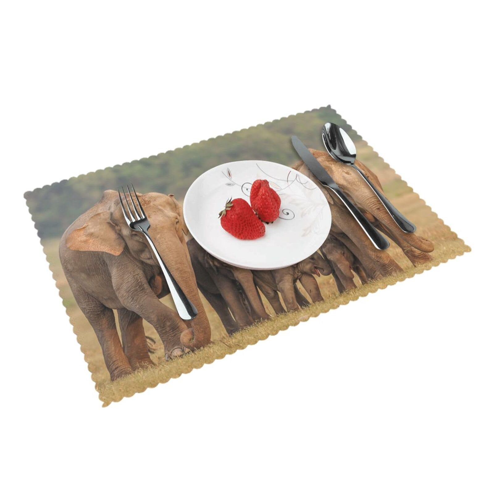 Elephant Family Printed Placemat Heat Resistant Place Mats Set of 4 PCS Washable Kitchen Table Mats, 12x18 Inch