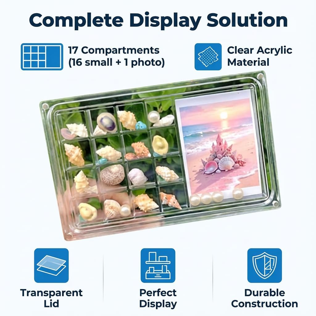 17-Grid Seashell Collection Box with Large Display Slot, Magnetic Acrylic Shadow Box for Rocks, Crystals and Photo Memories