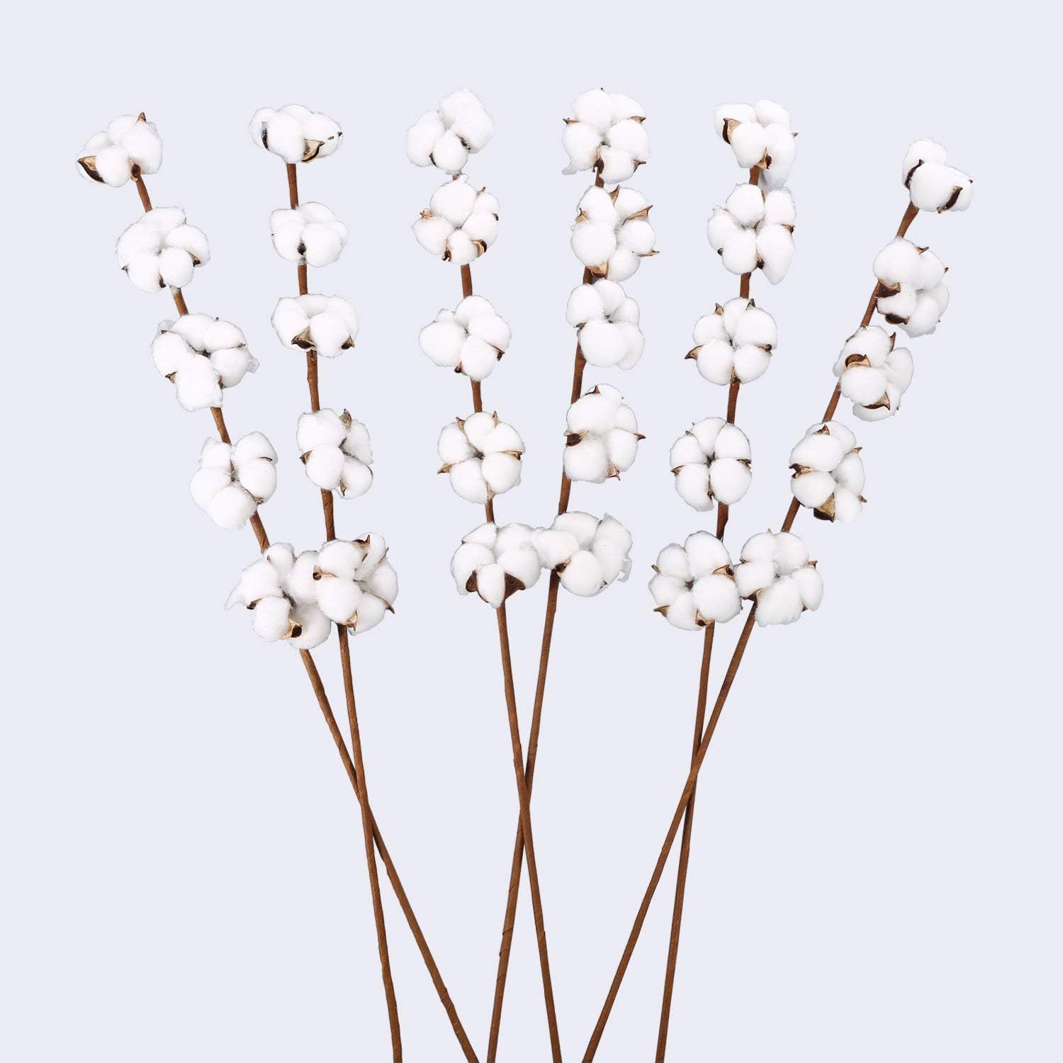 VGIA 6 Pack 27 inch Cotton Stems Farmhouse Decor Rustic Style Vase Filler Floral Decoration Flower