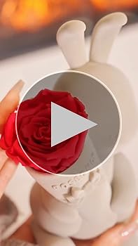 [ROSEONLY] プリザーブドフラワー　ラビット＆ローズ　ウサギ＆バラ Amazon｜ROSEONLY プリザーブドフラワー ハニーラビットと