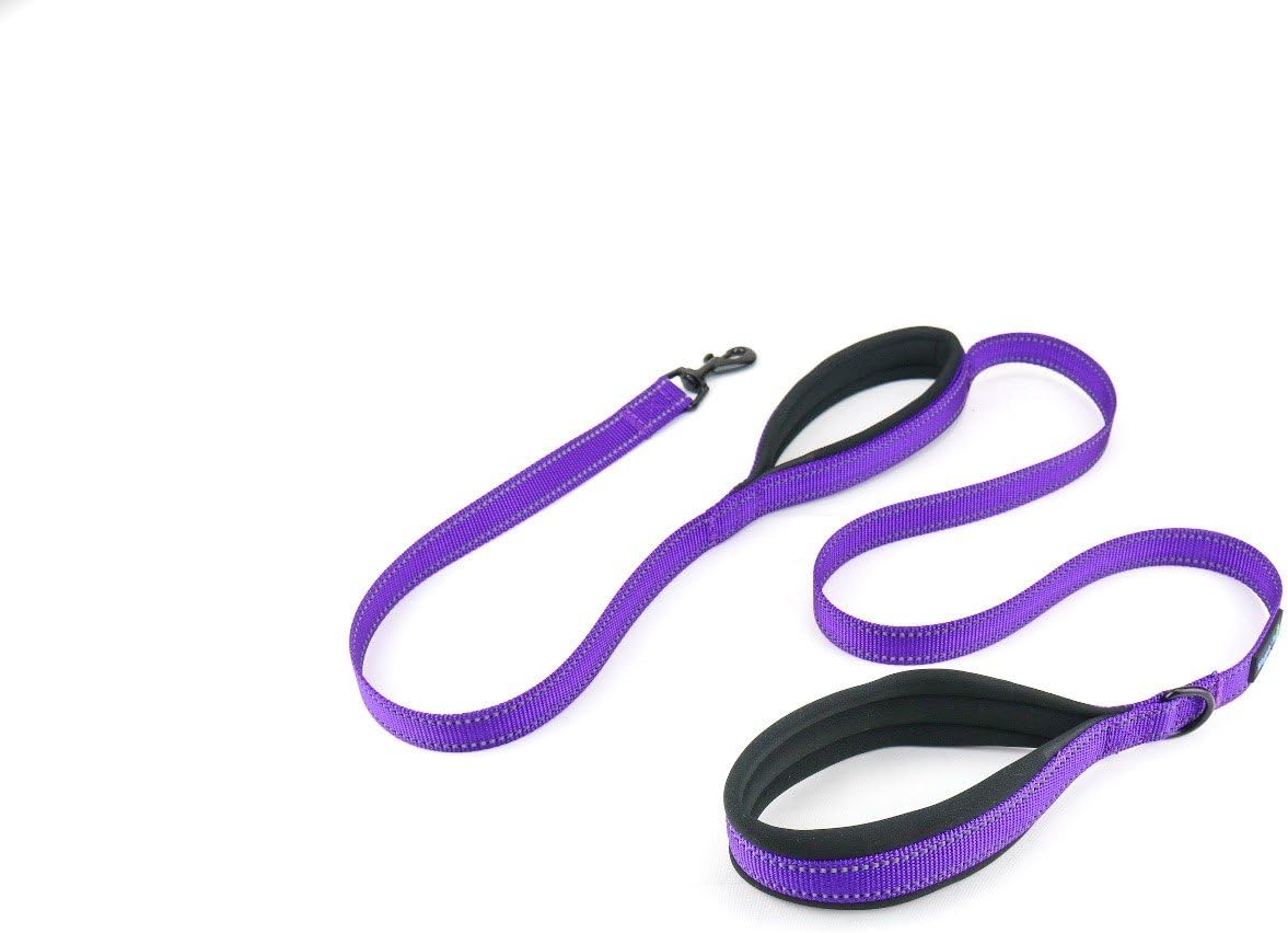 Waggin Tails Soft & Thick 5FT Double Handle Leash with Neoprene Padded Handle for Small to Medium Dog (Vibrant Purple)