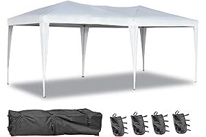 Pop Up Canopy Tent: Roomy 10x20 Majestic Shelter