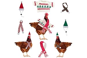 6pcs Christmas Chicken Costume Fun for Hens Party
