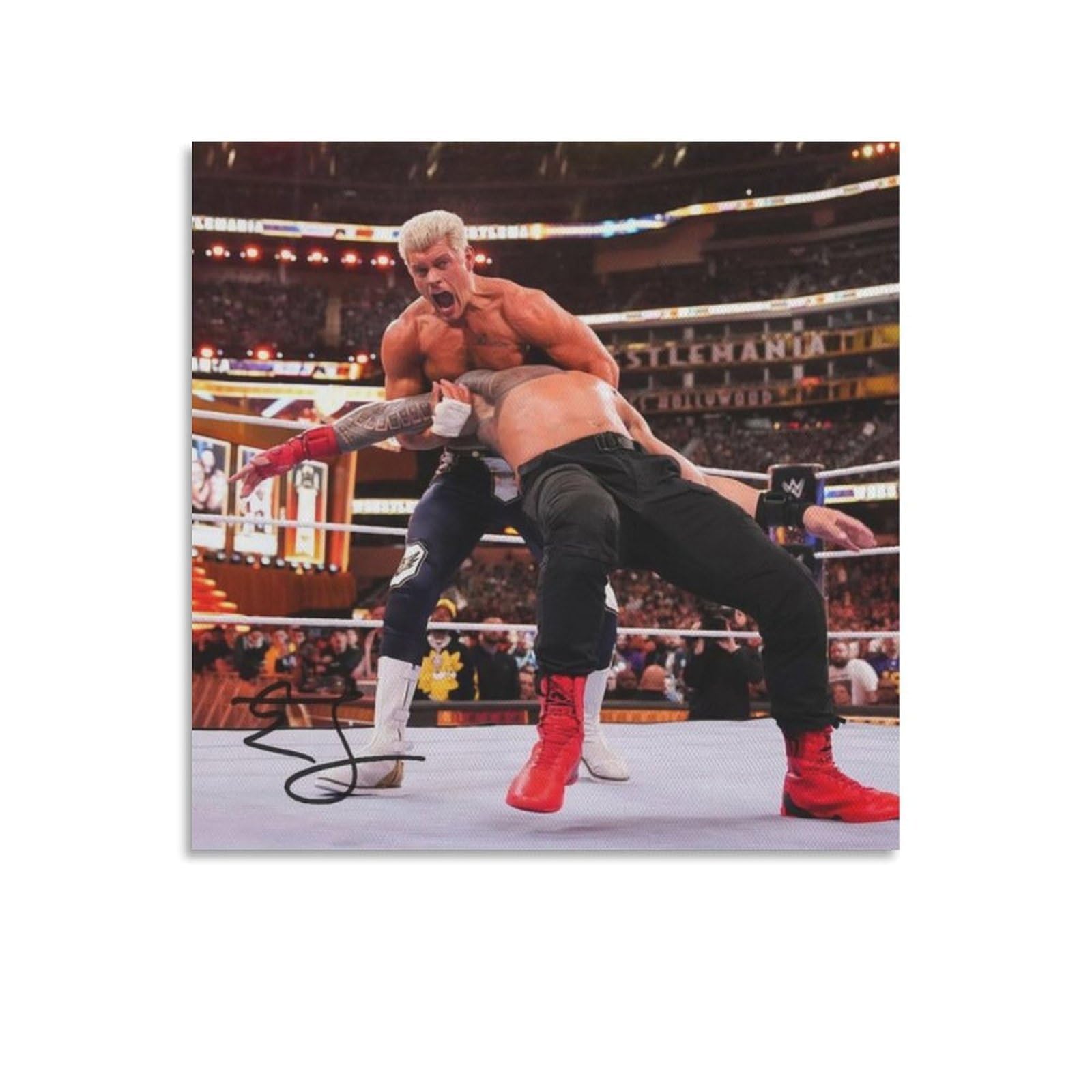 FCOIN Cody Rhodes Canvas Poster Artworks Picture Print Poster Wall Art Painting Canvas Decor Home Posters 28x28inch(70x70cm)