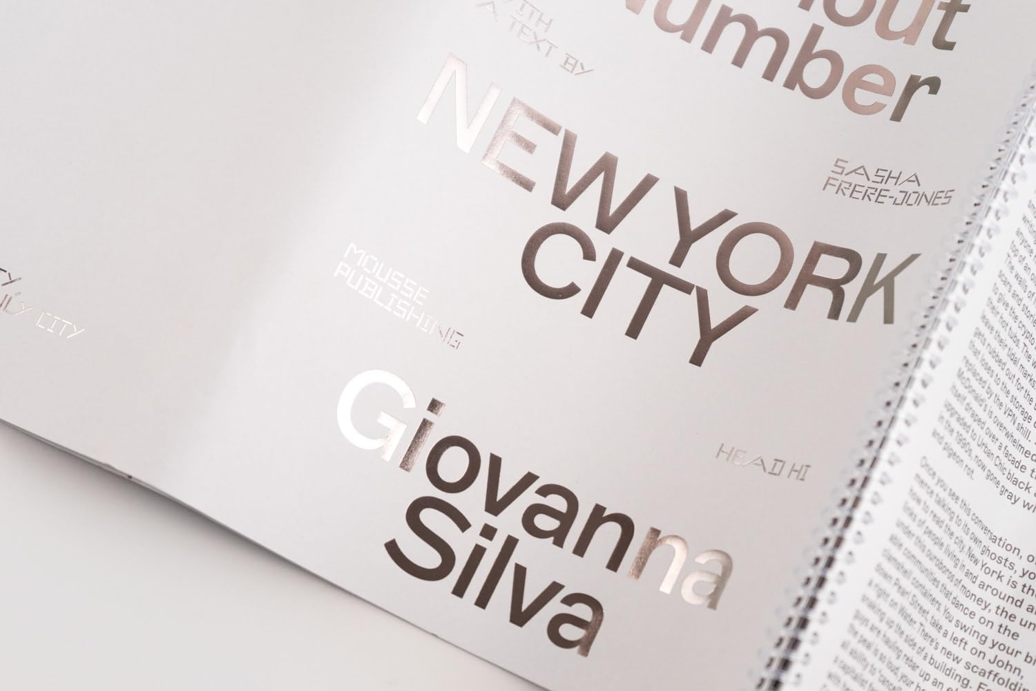 Giovanna Silva: Days without Number. Ediz. a spirale: Days Without Number, New York City