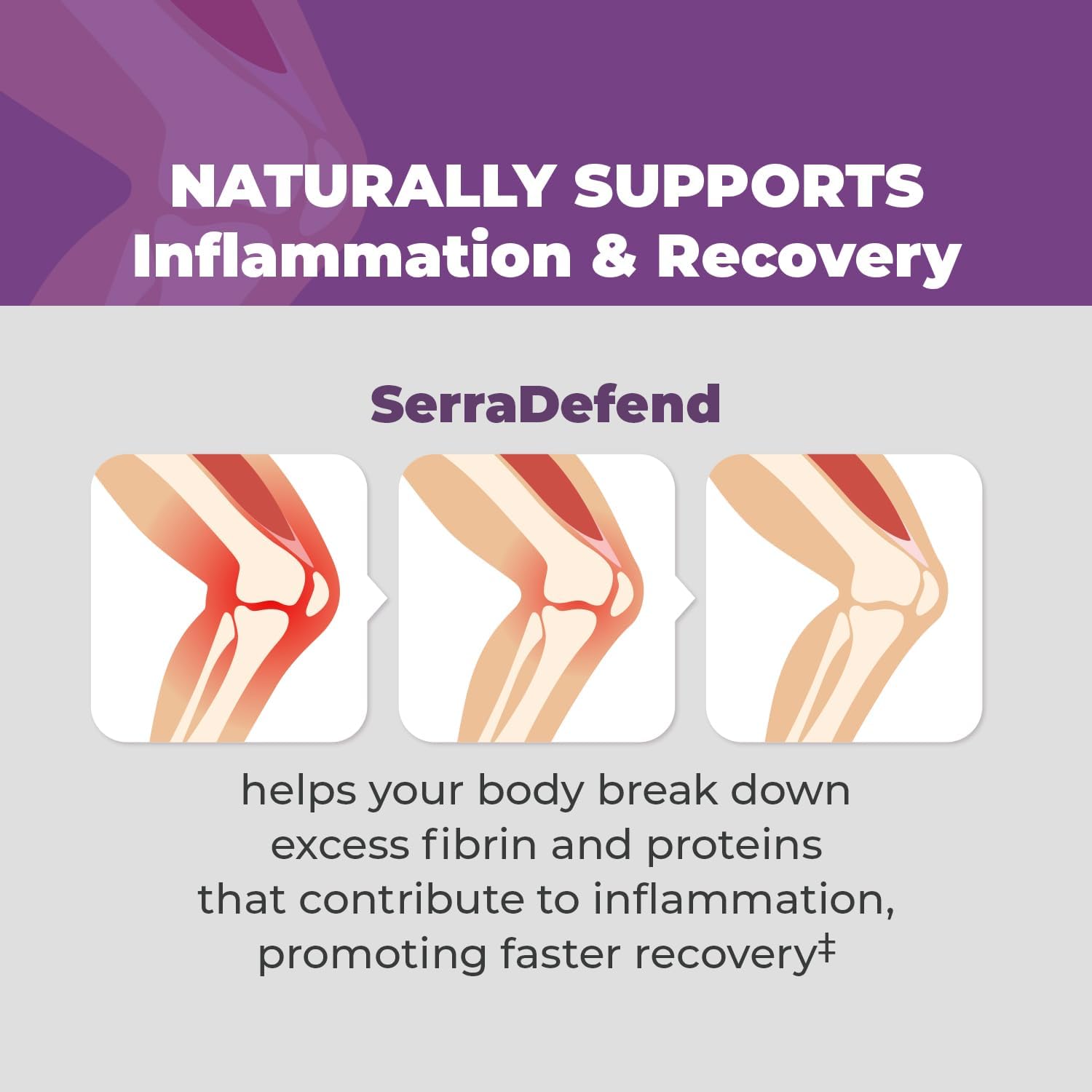 Balance ONE Biofilm Disruptor – Proteolytic Enzymes & Defense Supplement with Serrapeptase & Nattokinase – Systemic & Digestive Support – 60 Capsules, 2 Month Supply – for Women & Men – SerraDefend - Image 5