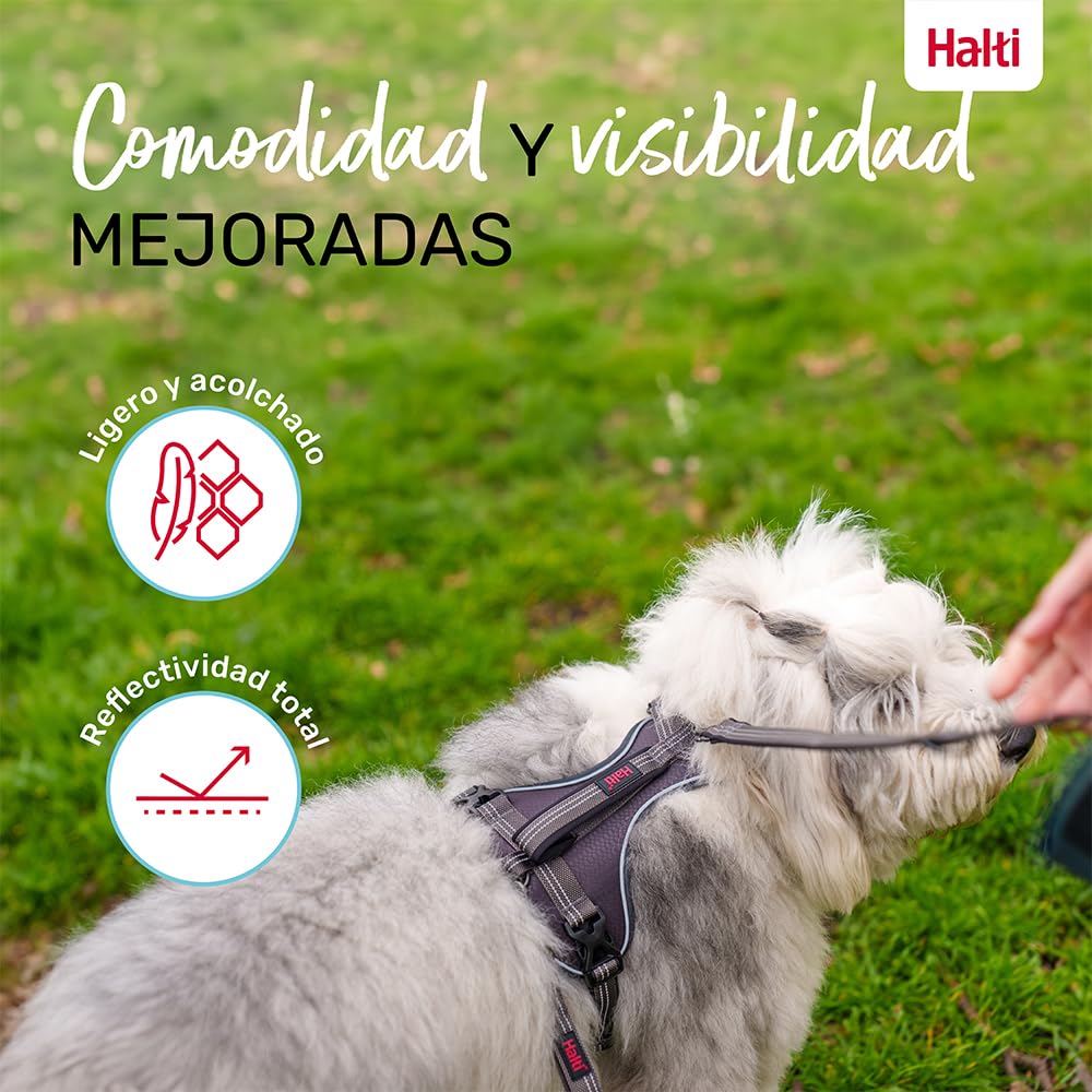 Arnés de Perro HALTI Anatomy con asa - Proporciona Libertad de Movimiento a tu Perro para Que pasee cómodamente. 3 Puntos de Enganche y Acolchado de Neopreno, Ajustable y Reflectante (Talla S, Gris)