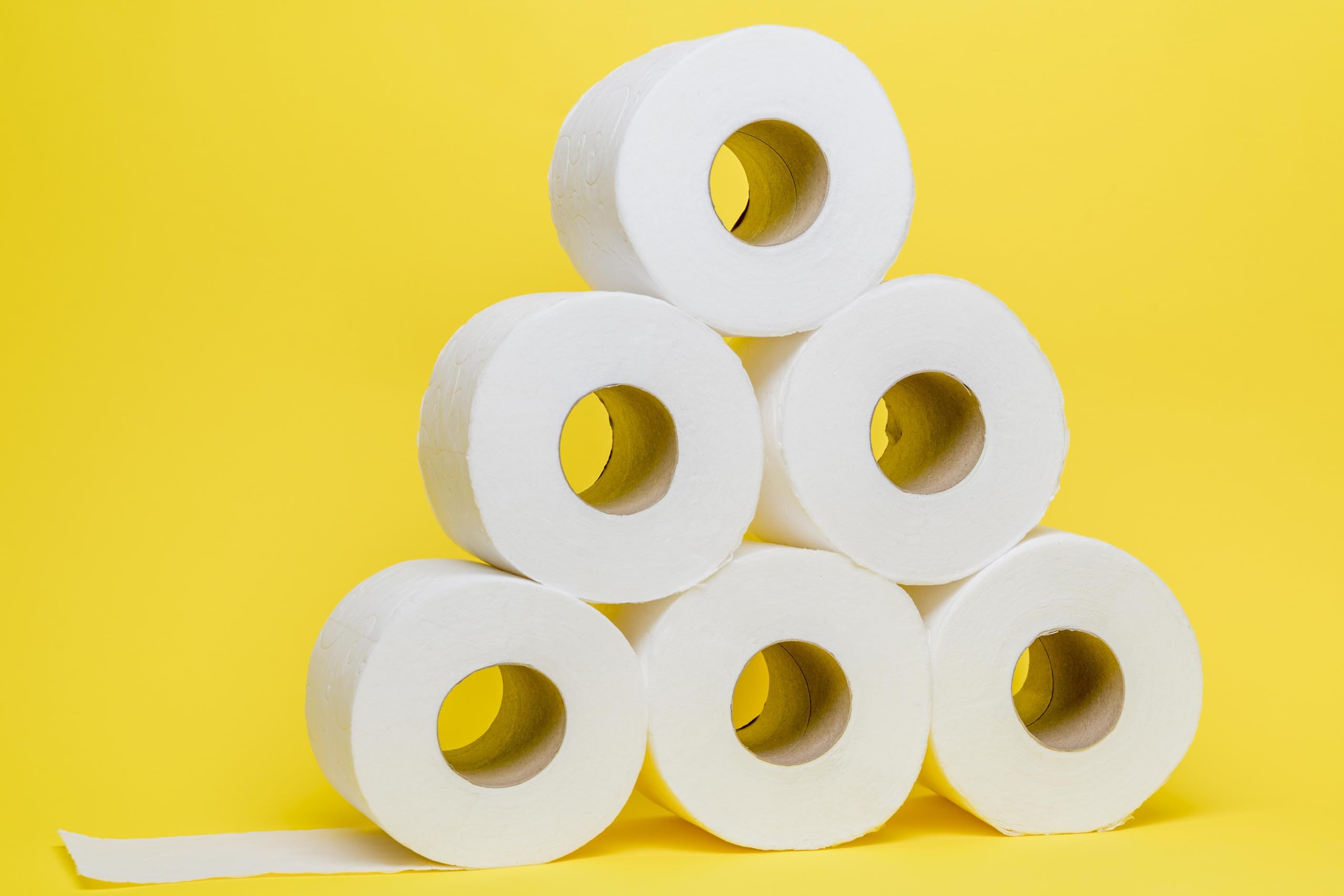 Fripa Toilettenpapier Edina, 3-lagig, 60 Rollen – Weiß, weich & reißfest, Premium-WC-Papier für empfindliche Haut, hygienisch & umweltfreundlich