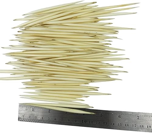 Miniatura 3 de Heyiwell 10 plumas de puercoespín blanco real de aproximadamente 4 pulgadas de largo