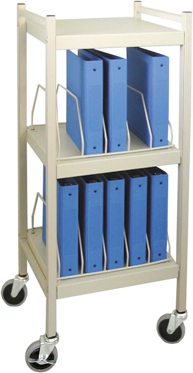 Amazon.com: Omnimed American Made Mini Chart Rack (Beige) : Office Products