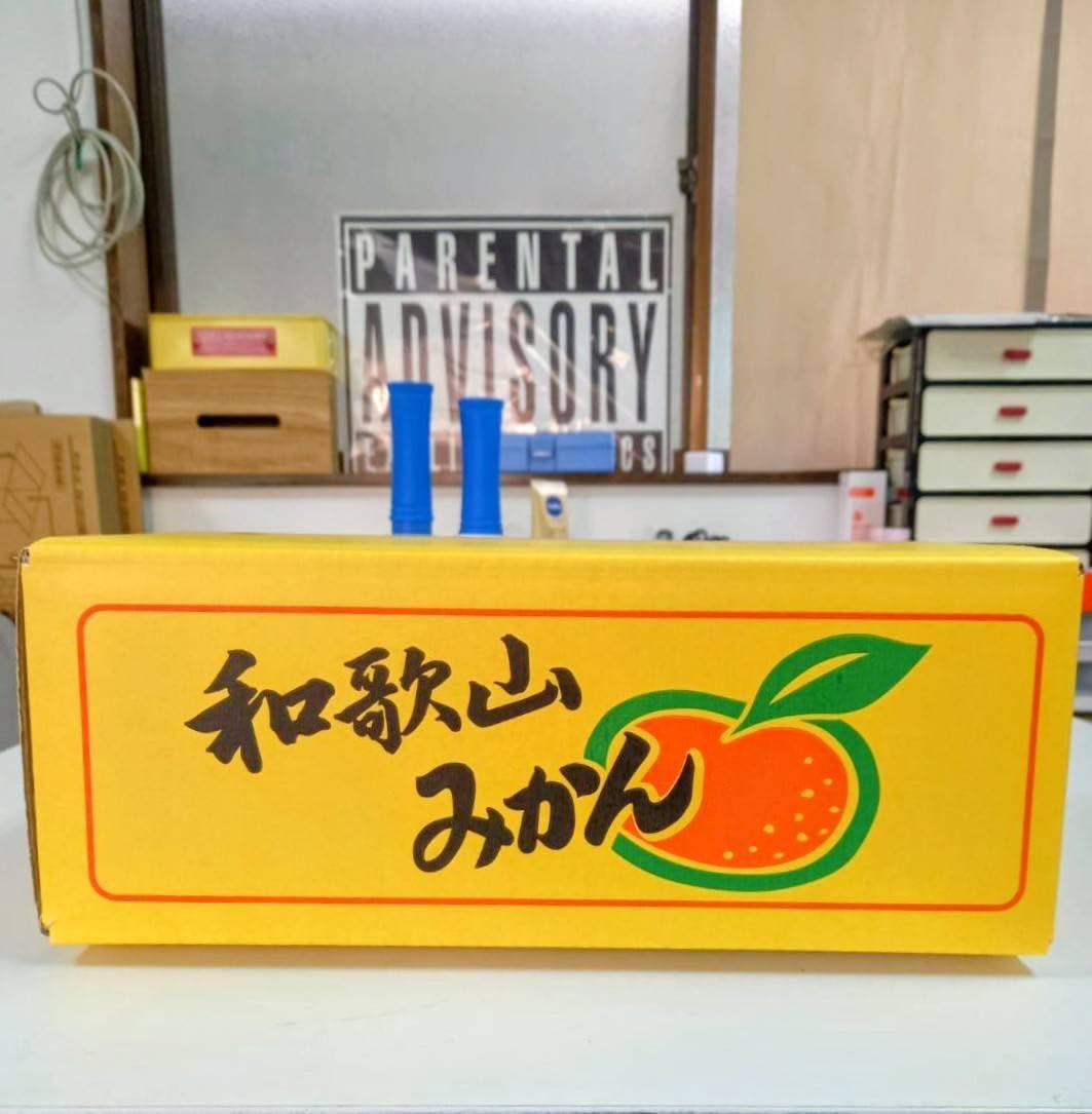 Amazon.co.jp: 和歌山 みかん 3kg : 食品・飲料・お酒