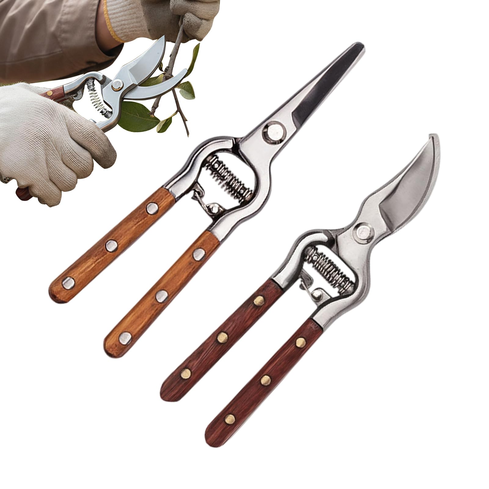 Sécateur de jardin pour fleurs de maison et entretien des branches au jardinage extérieur