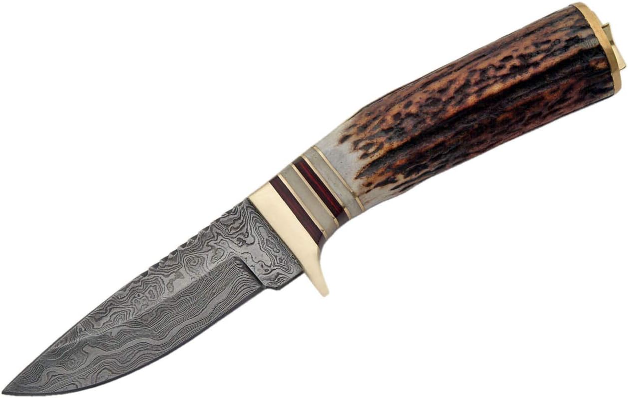 SANZ Damascus Stag Skinner Knife 8 Inch - Camping Knife with Stag Handle, Full Tang Blade & Sheath - Outdoor Knife for Hunting, Outdoor uses & Camping