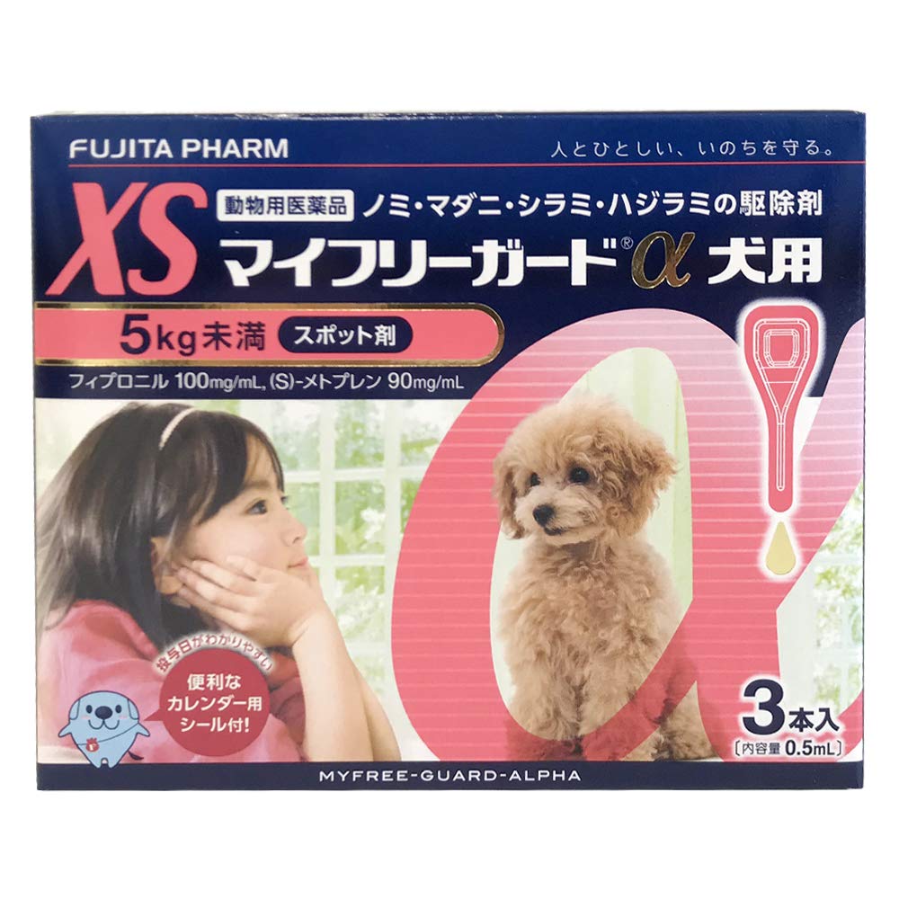 マイ フリー ガード α