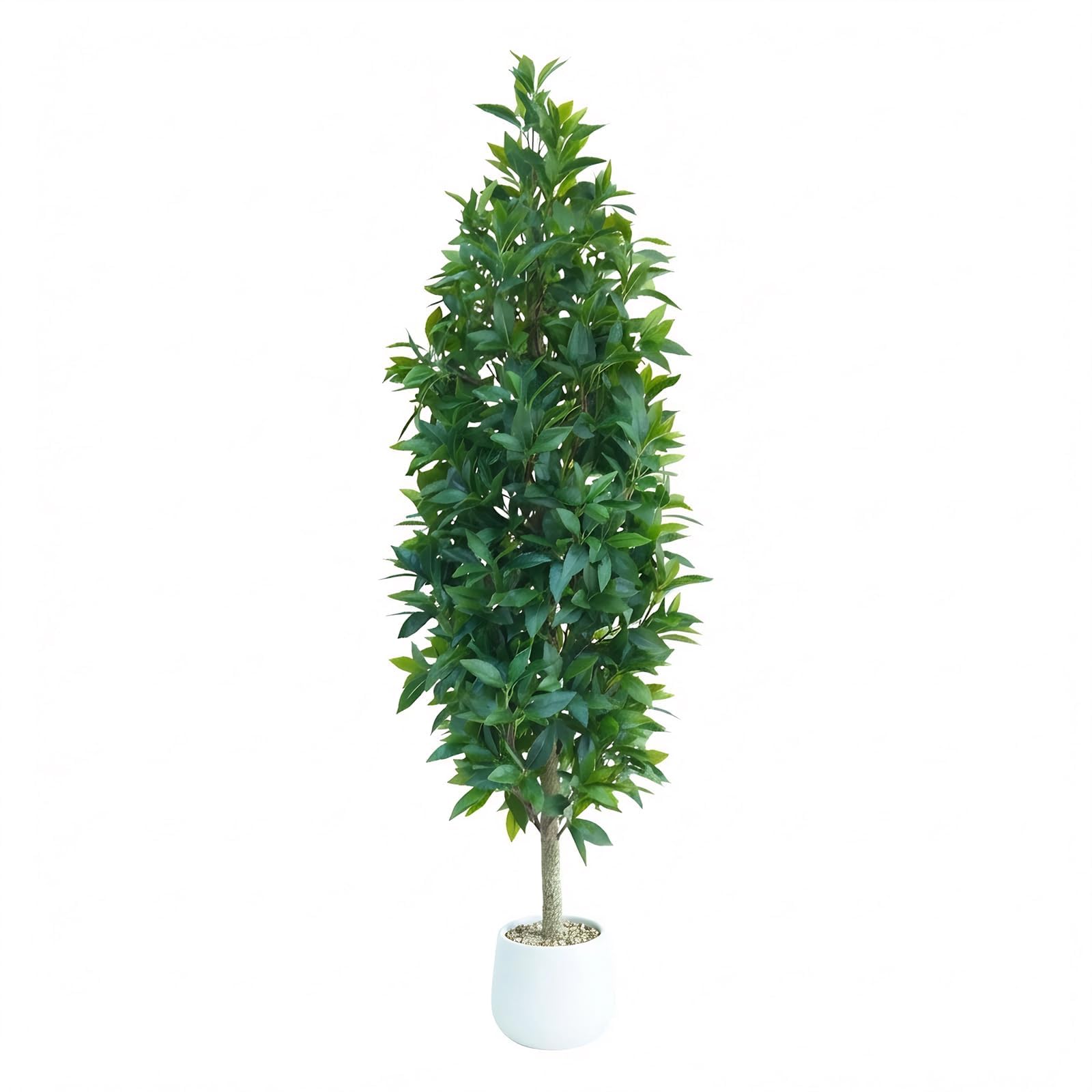 Aptliton 150cm Artificial Bay Laurel Tree, 5FT Tall Large Realistic Silk Foliage Faux Topiary Plant with Adjustable Stems and White Pot, Evergreen Greenery for Home Office Living Room Garden Decor