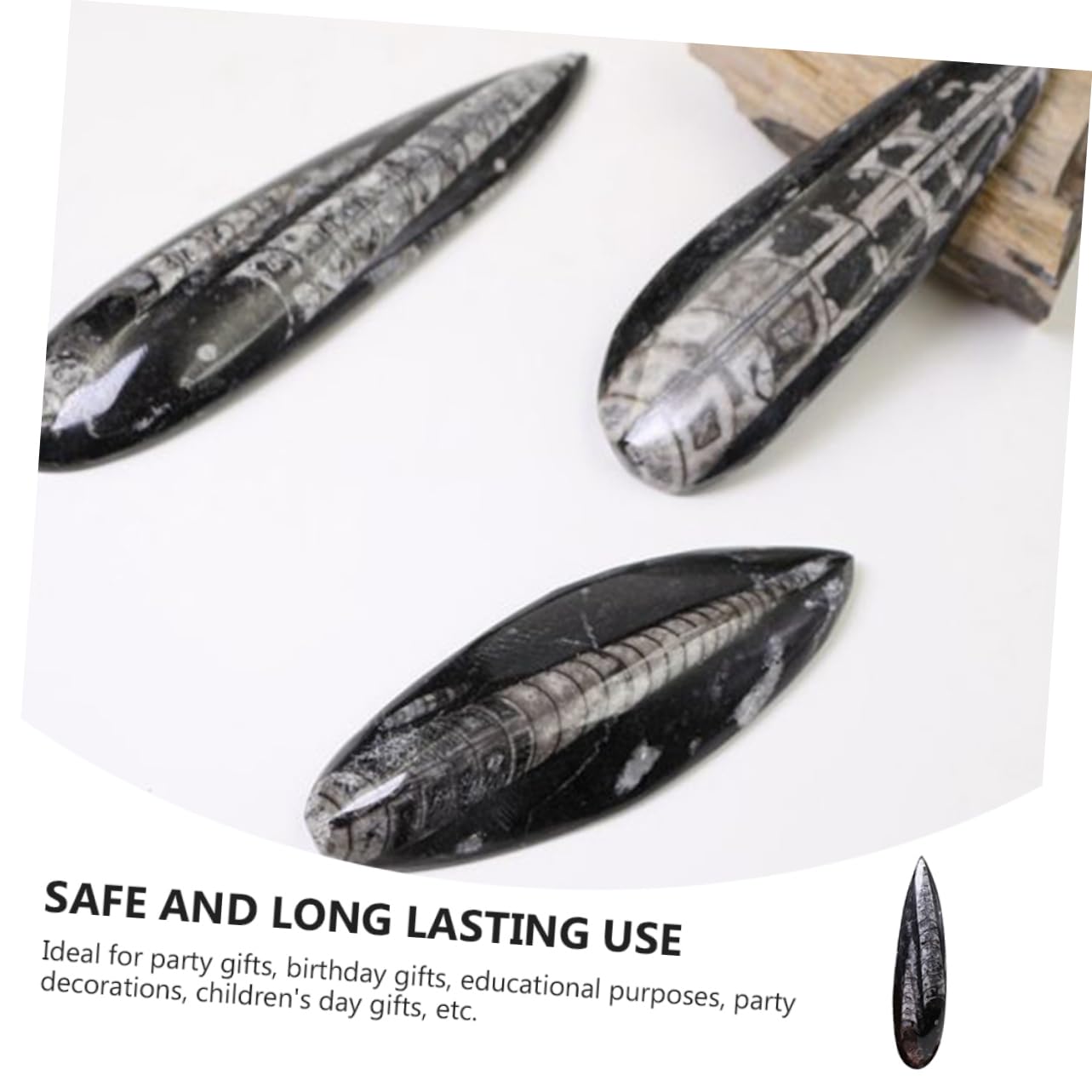 Mikikit Fossile Orthoceras Nero di Dimensioni Grandi in Minerale, Esemplare Didattico per Paleontologia, Materiale Educativo per Laboratorio e Decorazione Desktop
