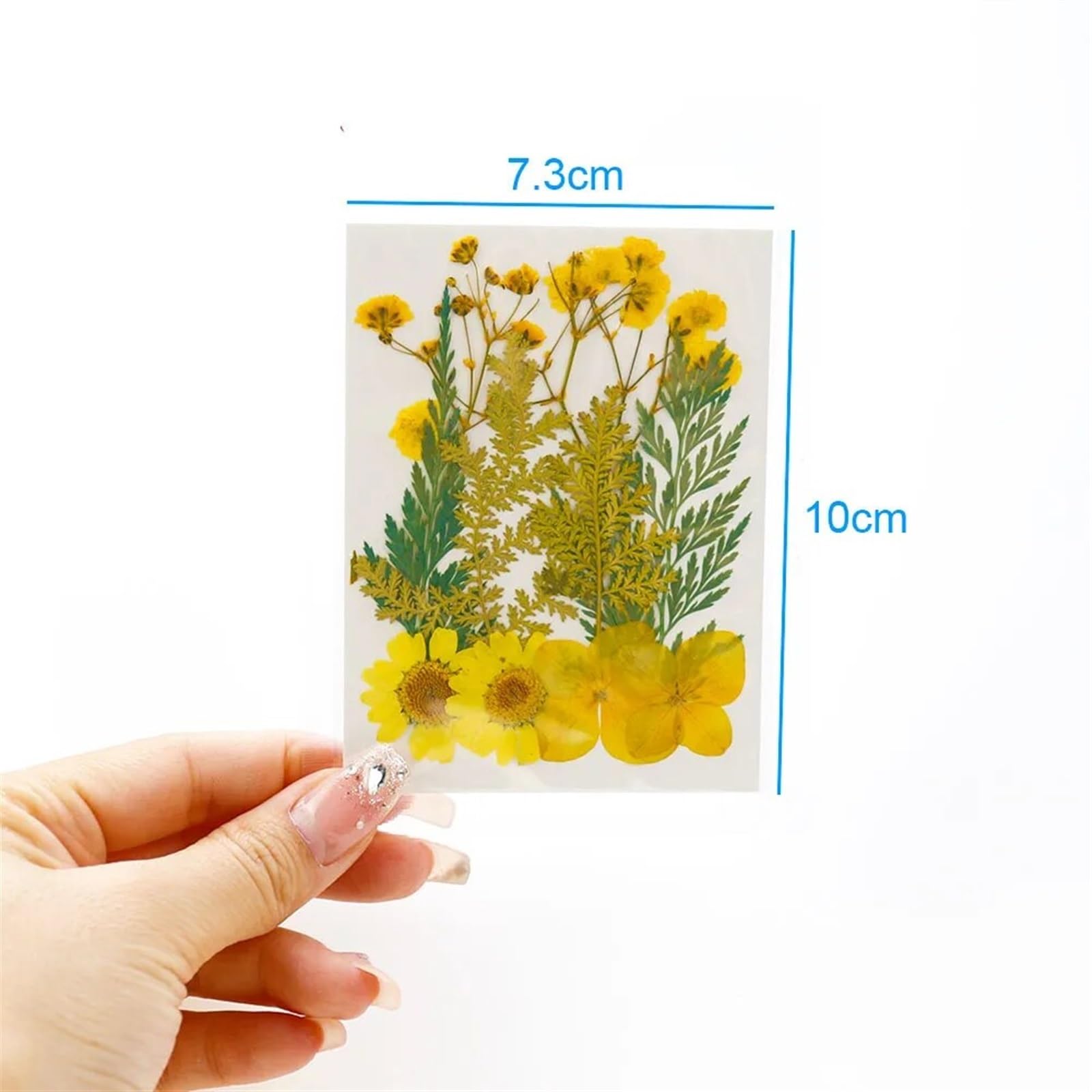HBALDTEDC Getrocknete gepresste Blumen, 1 Packung Trockenblumen Trockenpflanzen for Harzformen Füllungen Epoxidharz Handwerk DIY Nail Art Dekoration Gepresste Blumen