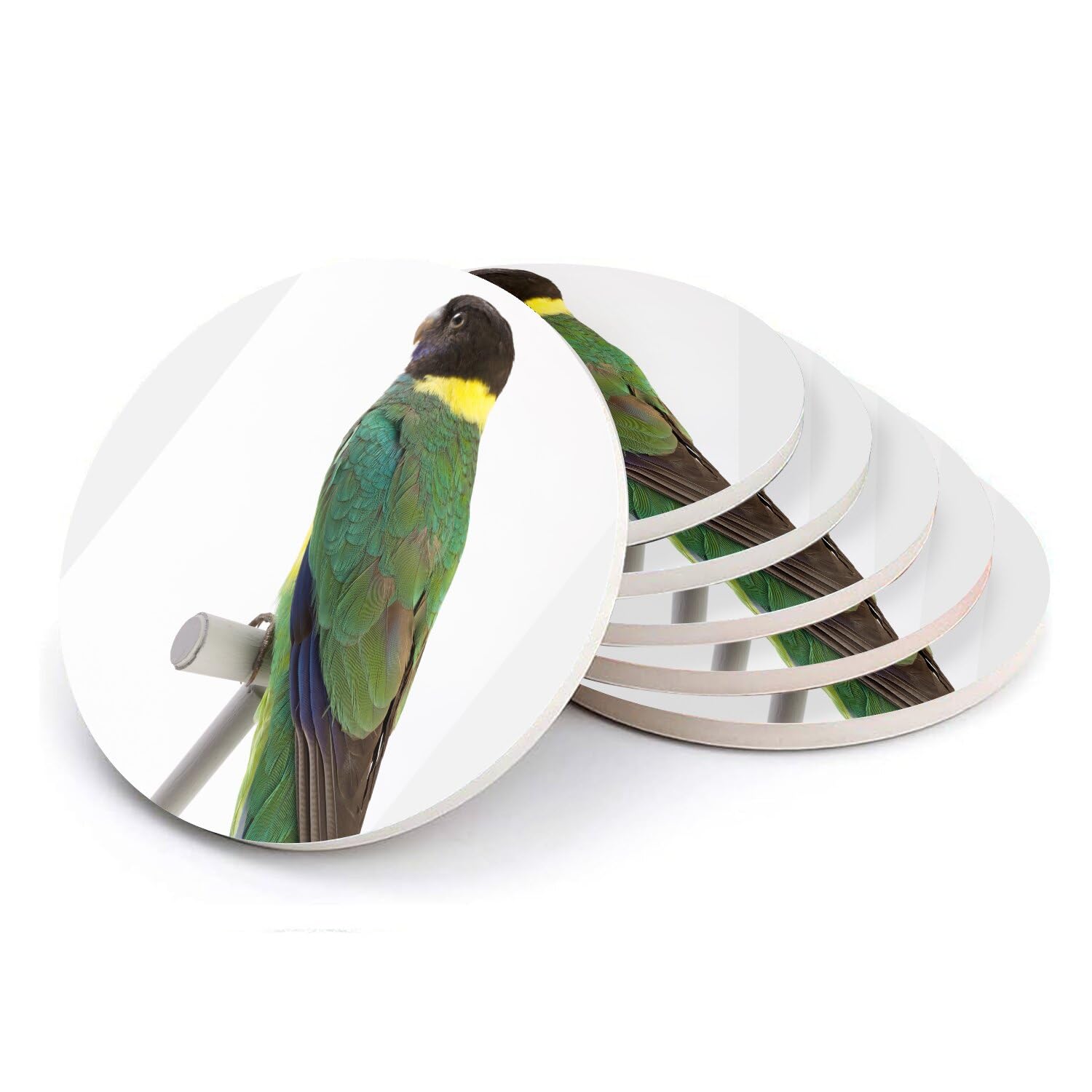 Sous-verre ronds en céramique oiseau exotique lot de 6 de table