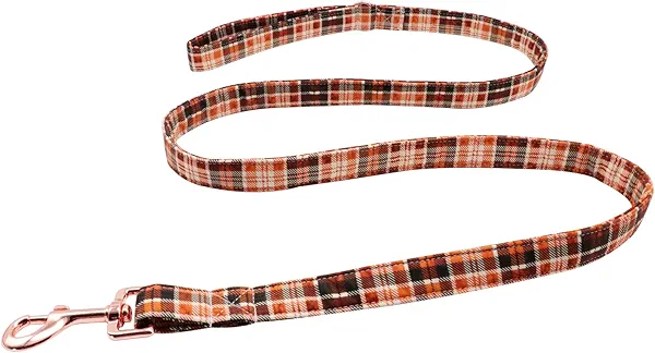 Lionet Paws Dog Leash Matching Dog Collar for Small Medium Large Dog