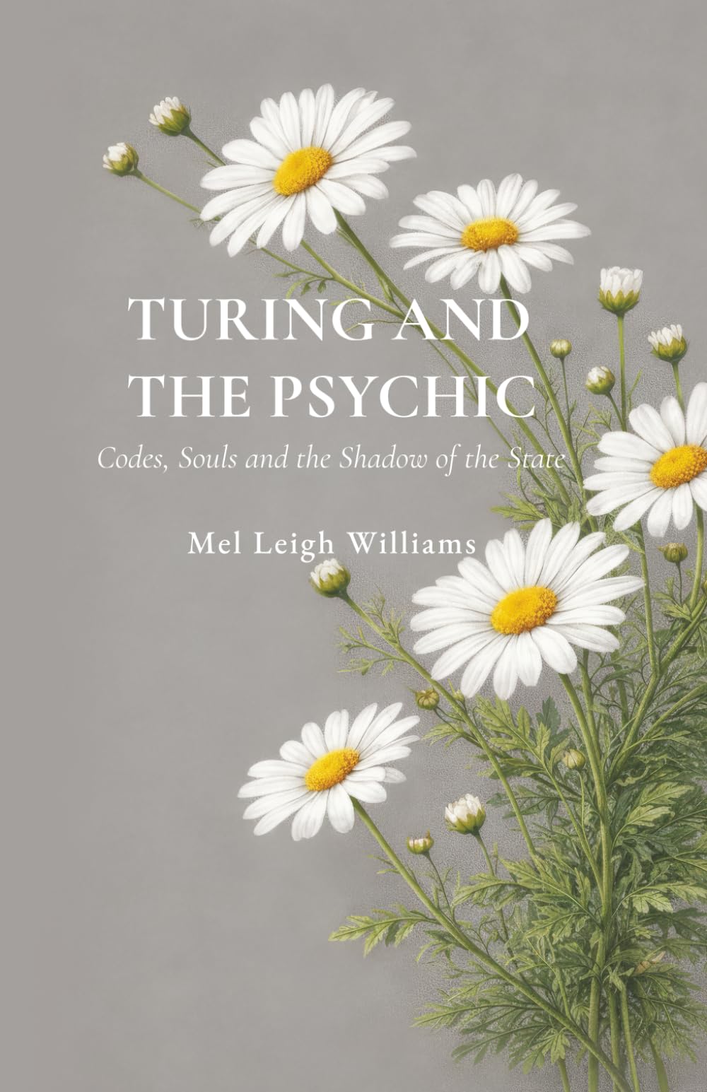 Turing and the Psychic: Codes, Souls and the Shadow of the State