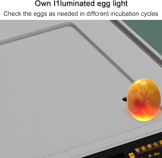 Egg Incubator, Automatic Incubator Brooding Machine Chicken Incubator Home Incubator Controller Farm Egg Incubator,256Eggs