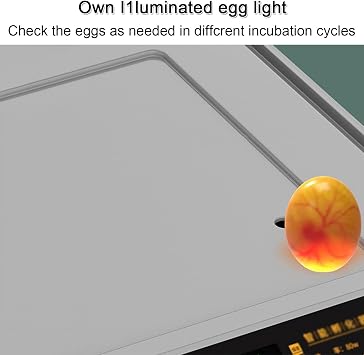 Egg Incubator, Automatic Incubator Brooding Machine Chicken Incubator Home Incubator Controller Farm Egg Incubator,256Eggs