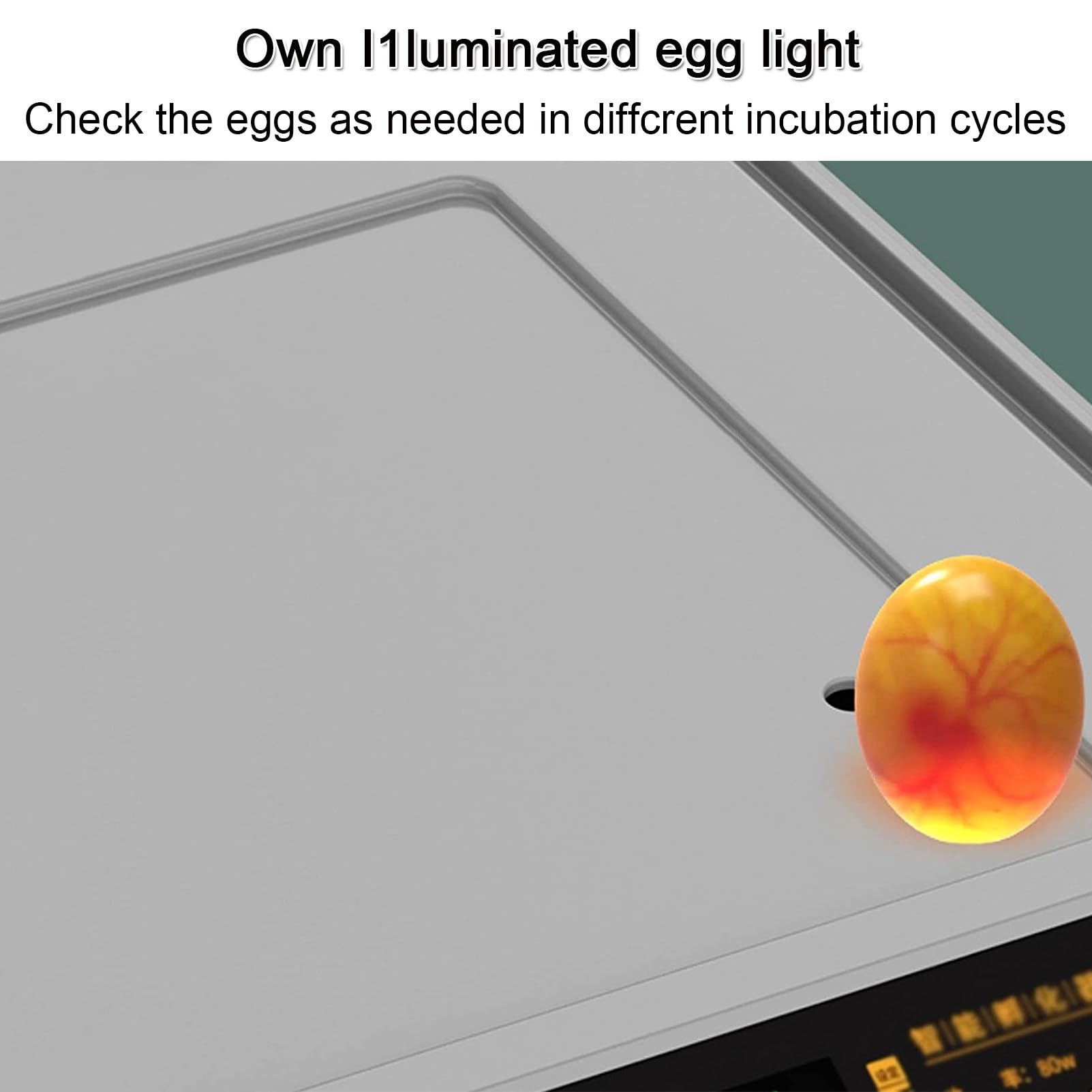 Incubadora de incubación de Huevos Transparentes con Giro automático de Huevos y reposición automática de Agua para Huevos de gallina y Huevos de codorniz,256Eggs