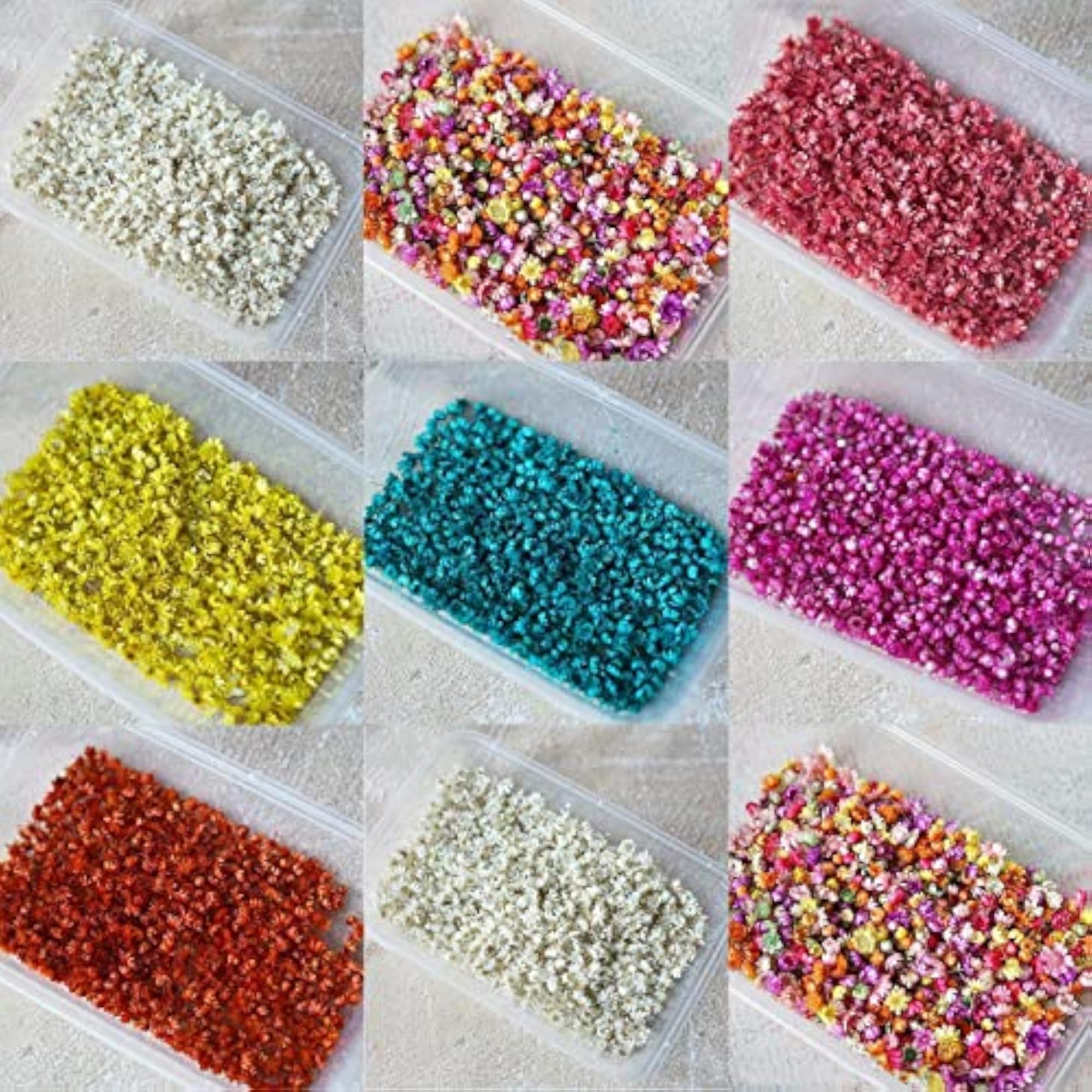 Real Dried Pressed Flowers for DIY Arrangement Craft