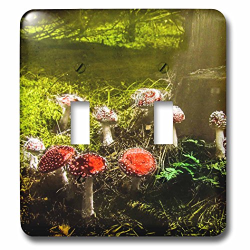 3dRose lsp_246047_2 - Interruptor de palanca vintage de hongos funky en el bosque de los años 1890