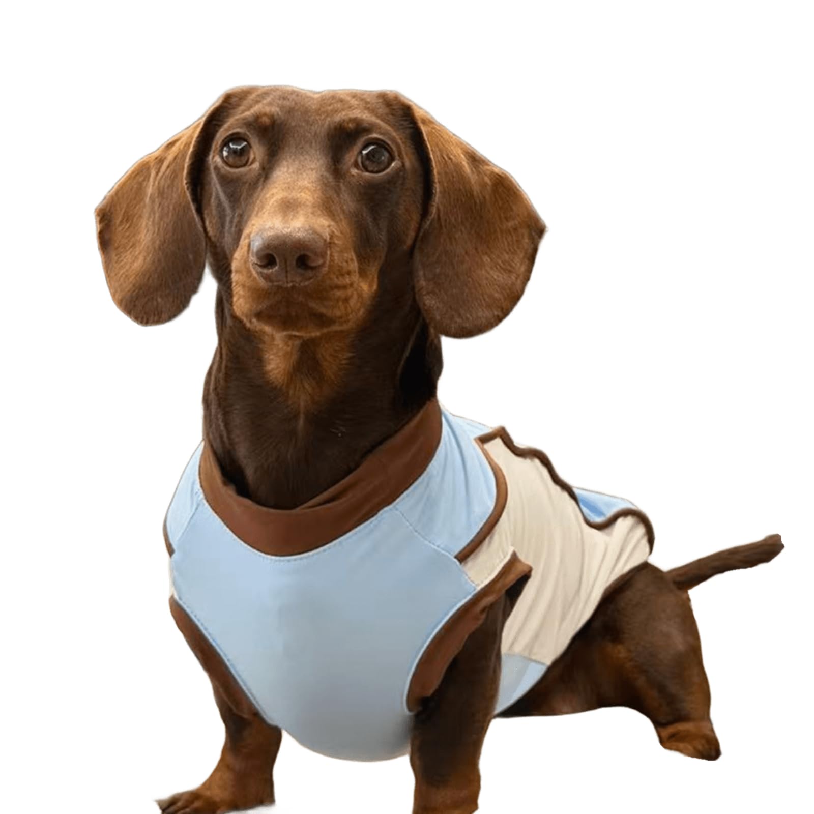 Dachshund Hund Kühlung Weste für kleine Hunde Chihuahua Corgi Sommer ärmellos UV-Schutz T-Shirt Puppy Sonne Shirt Tank Top Haustier Bekleidung Outfits für Mini Dachshund